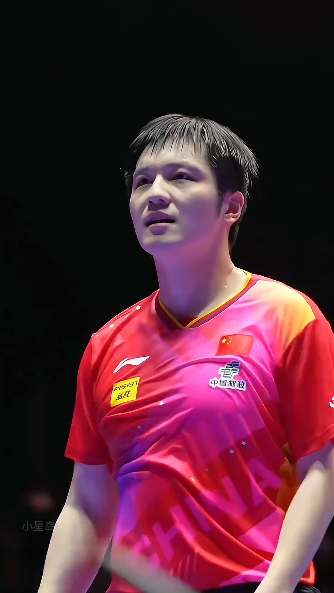 德国乒乓球队逆转中国乒乓球队，樊振东关键制胜的简单介绍