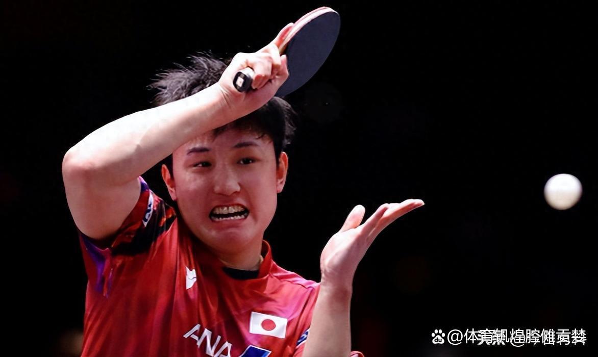 包含奥地利队轻取德国队，张本智和状态火热的词条