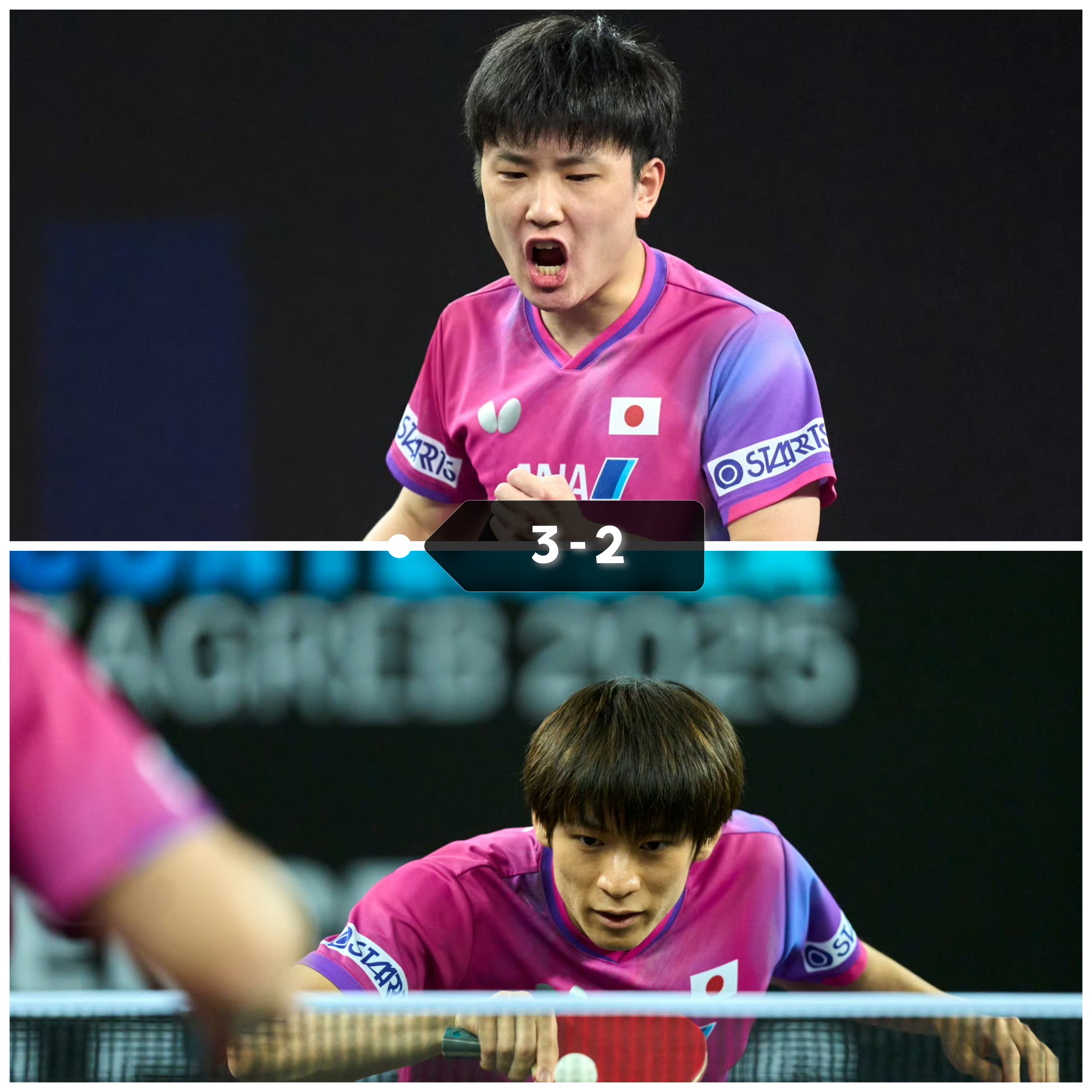 包含奥地利队轻取德国队，张本智和状态火热的词条