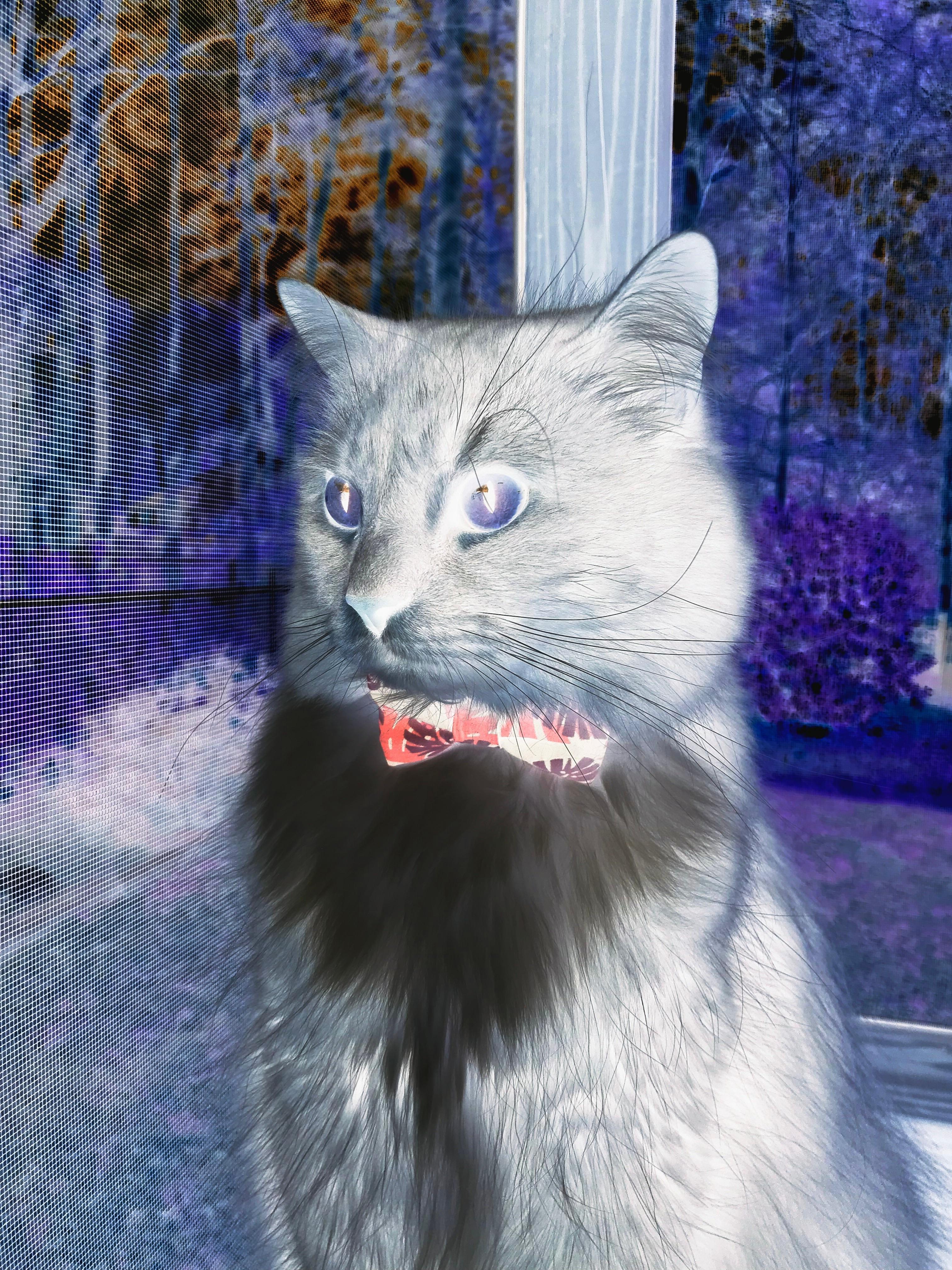 欧冠半决赛之夜，久保建英，以东方智慧撕开钢铁防线