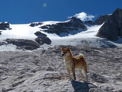 世纪之星诞生记，伊萨克四两拨千斤，让巴萨豪门光环黯然失色