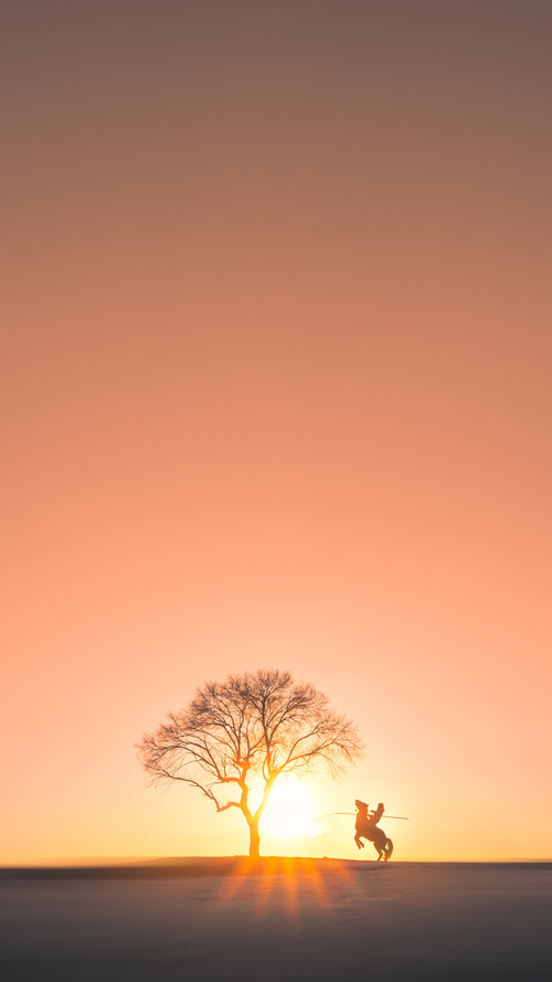 西决生死战之夜,福登个人能力的完美绽放