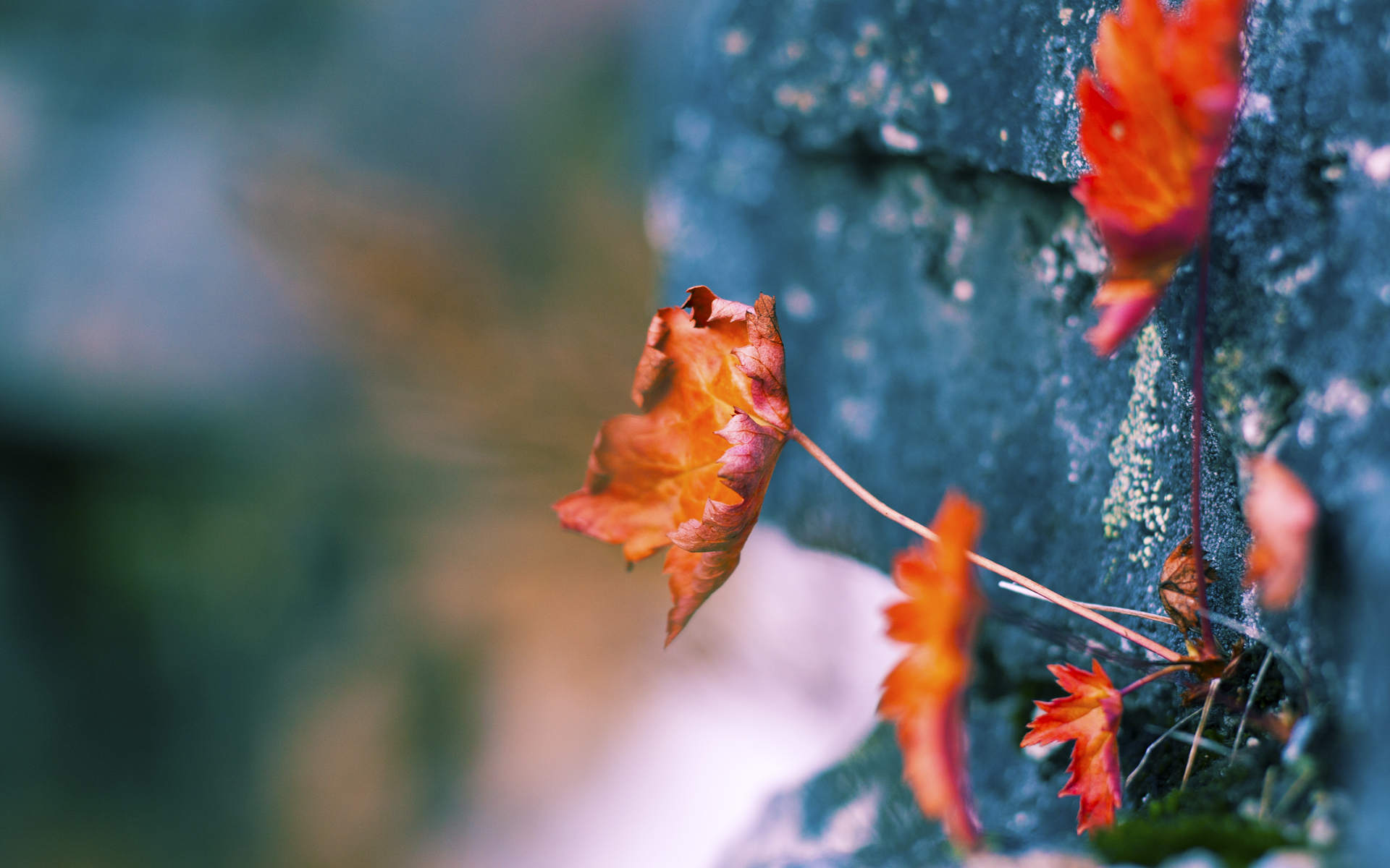 快船掀起进攻海啸，戈贝尔用防守划定西决生死线