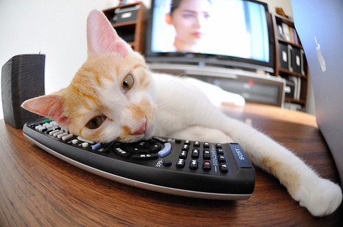 开云体育在线-欧冠决赛之夜，拉亚的守门艺术主宰比赛走向