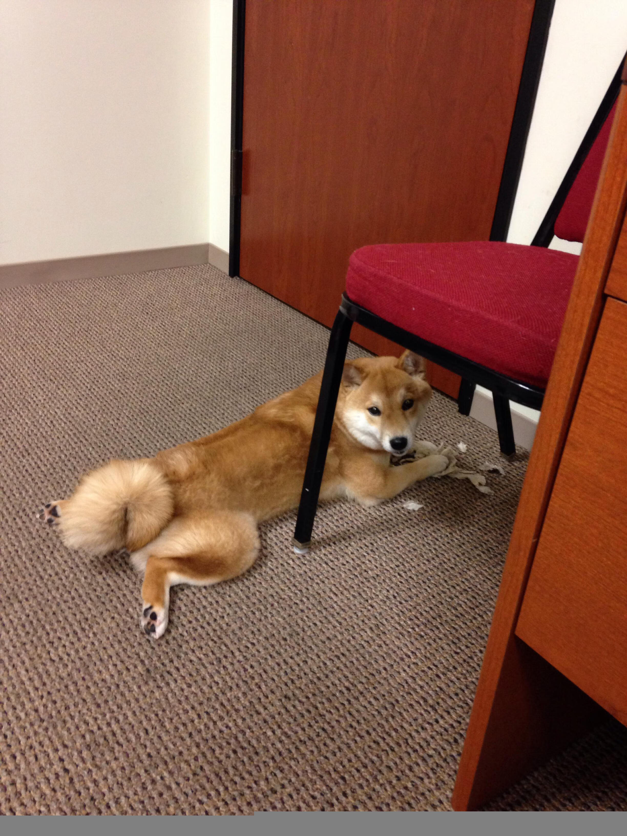 杜兰特力挽狂澜！奇才惊险淘汰卫冕冠军掘金