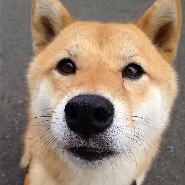 东决锁链，霍勒迪关键战夜，用防守为球队钉上胜局