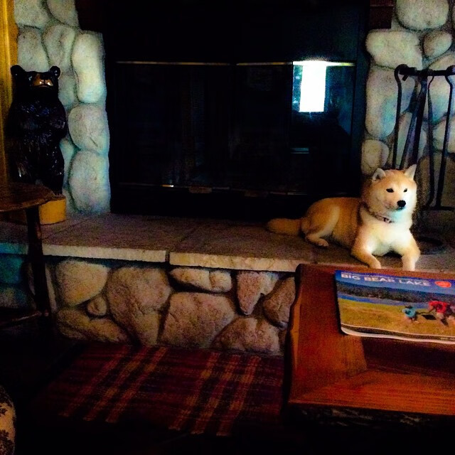 厄德高，划过塞维利亚夜空的那道挪威极光