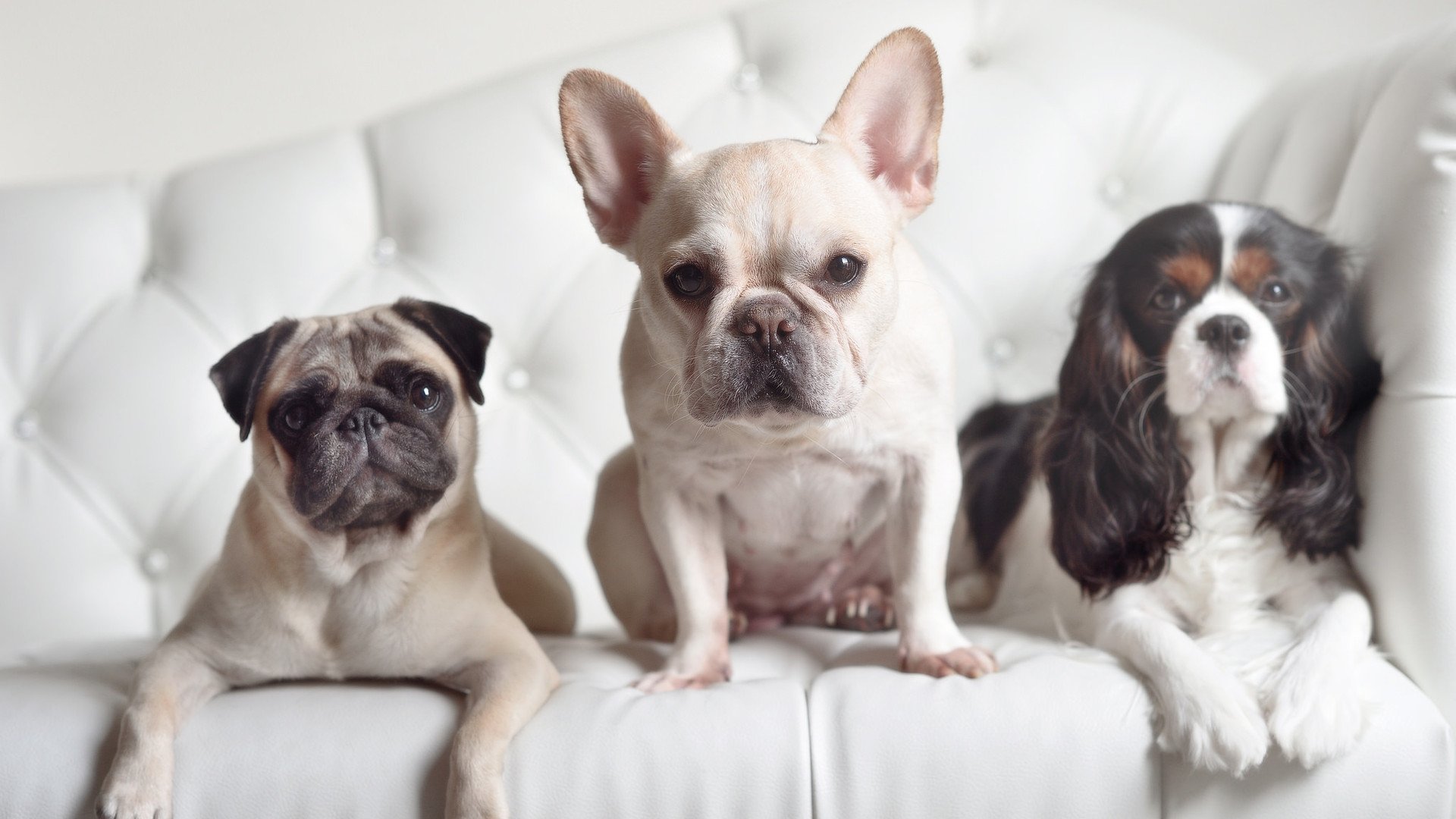 库里冷血如刀，太阳熔炉铸就淘汰赛铁骨，关键战背后的胜负哲学