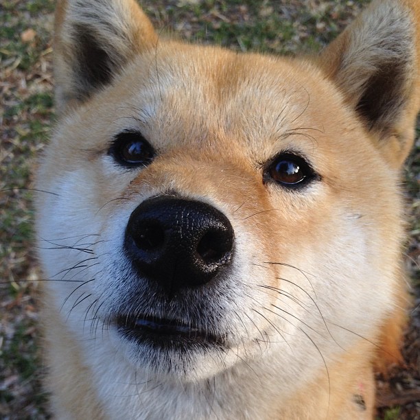 绝命三分定乾坤，委内瑞拉生死时刻绝杀乌克兰