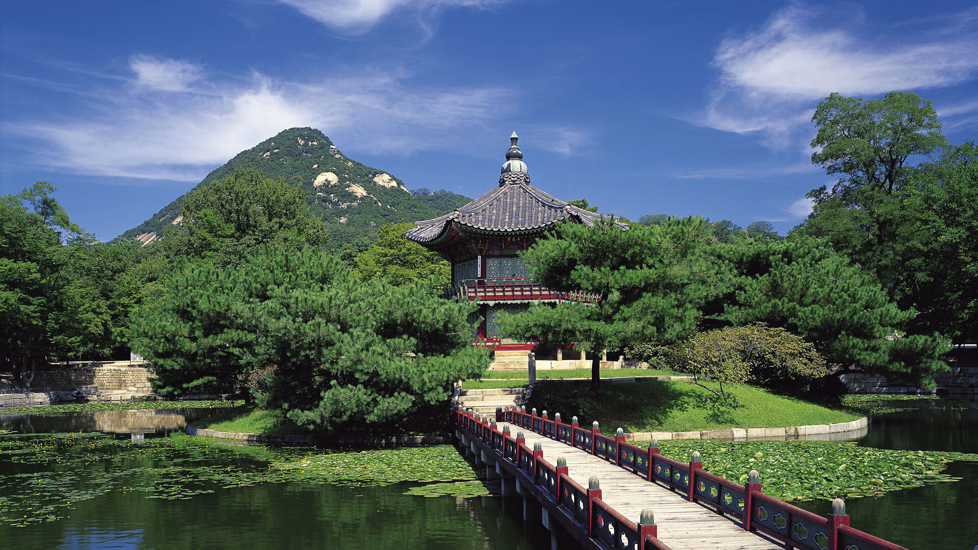 奇才的汗水与库里的光芒，当团队坚守遇见英雄主义