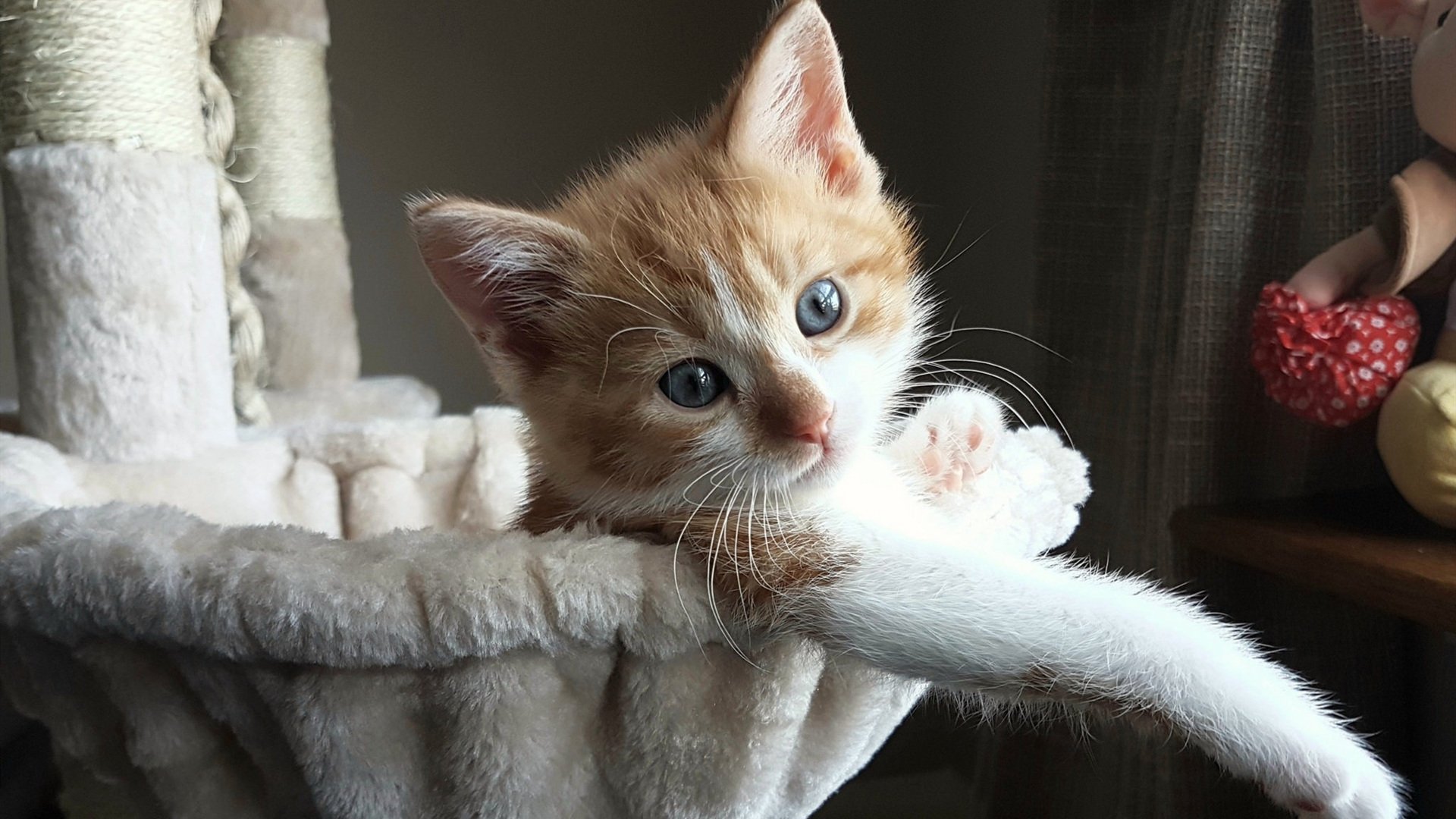 铁血防线冻结北欧风暴!拉齐奥压制冰岛,卡瓦哈尔化身关键先生定胜局