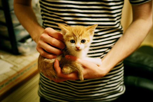 开云体育登录-欧冠半决赛焦点战，当篮球场化身绿茵豪门对决，公牛铁蹄踏碎雄鹿王朝之梦